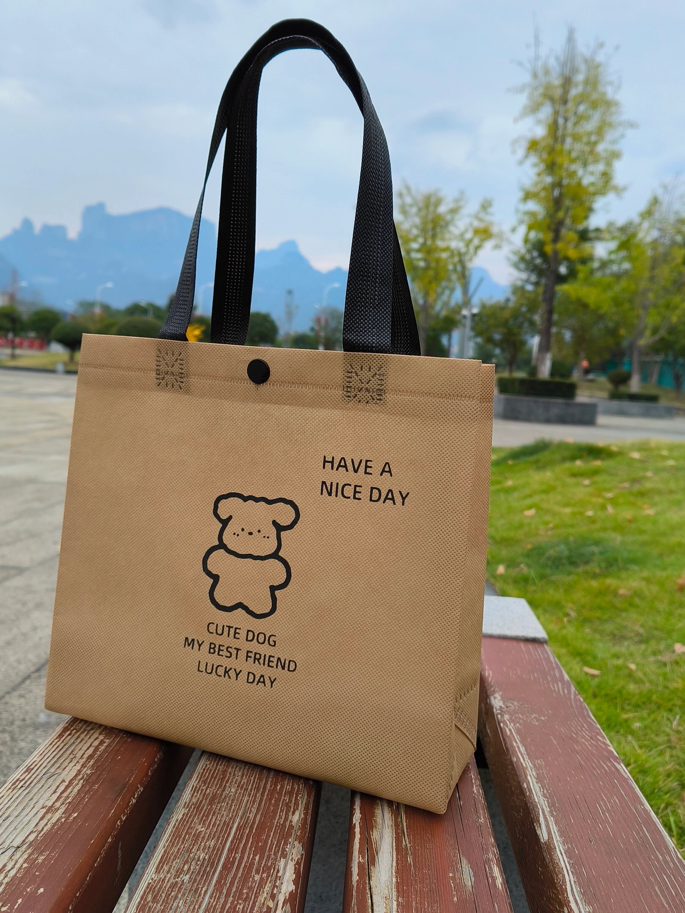 Snap-Closure Heavy-Duty Non-Woven Tote Bags — 12 Colors product view 3